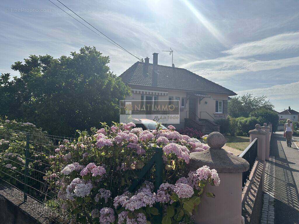 Maison à BARR