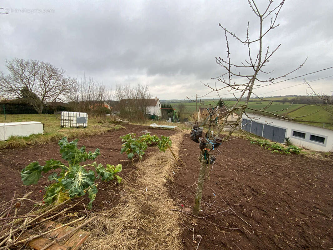 Terrain à MONTCENIS
