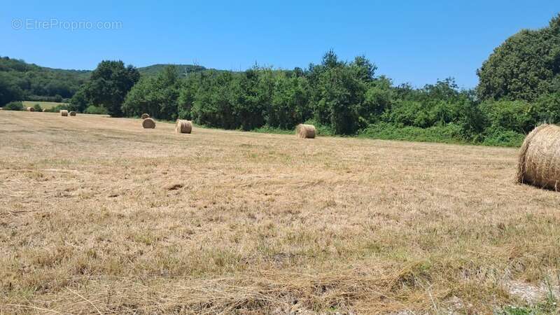 Terrain à vendre de 1 800,00 m² LANZAC (46) - photo 9