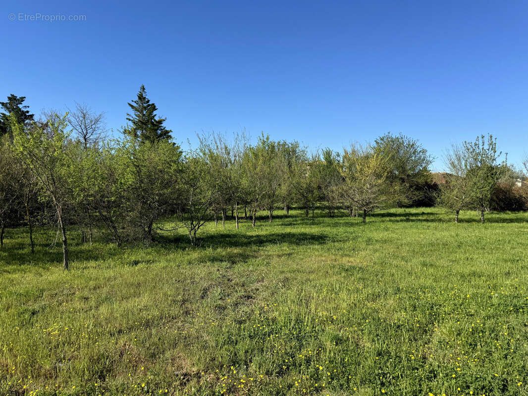 Terrain à UZES