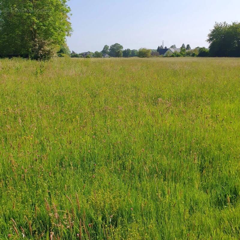 Terrain à BOULLEVILLE