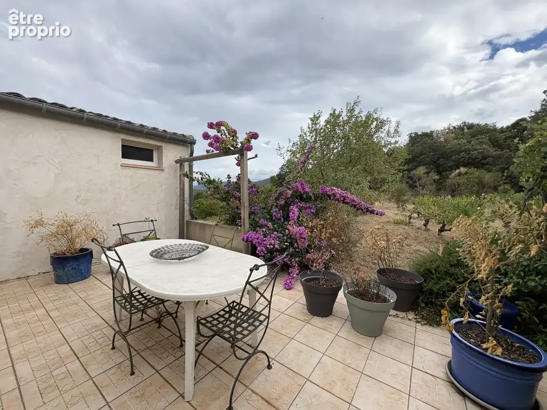 3 km de Limoux - Propriété avec appartement, dépendances et vigne - photo 25