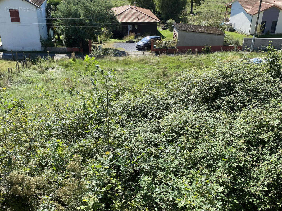 IMG_8060 - Terrain à VERDETS