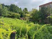 Terrain à VAILLY-SUR-AISNE