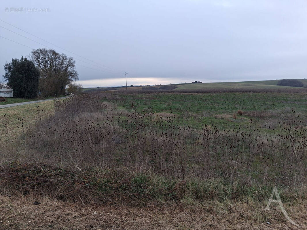 Terrain à LE FAGET