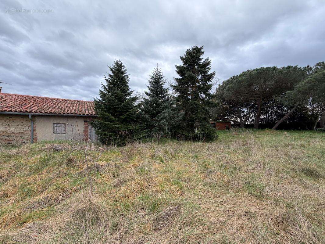 Maison à MURET
