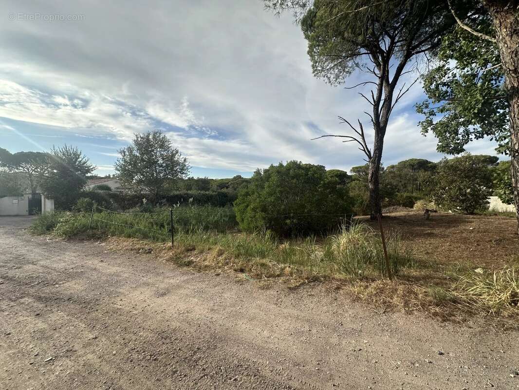 Terrain à FREJUS