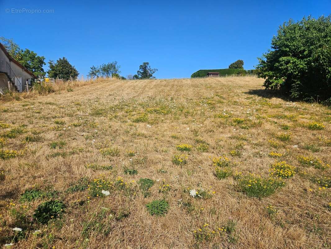 Terrain 1393 m² à Chateauneuf-La-Foret  - photo 4
