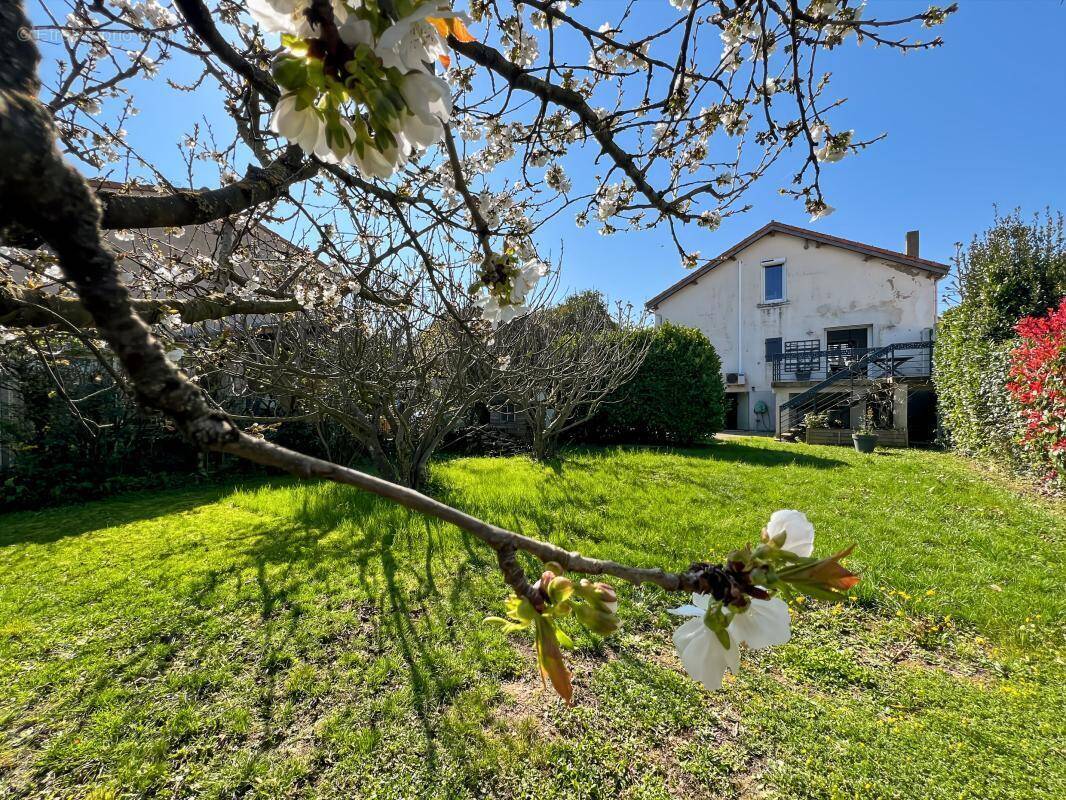 Maison à LIVRON-SUR-DROME