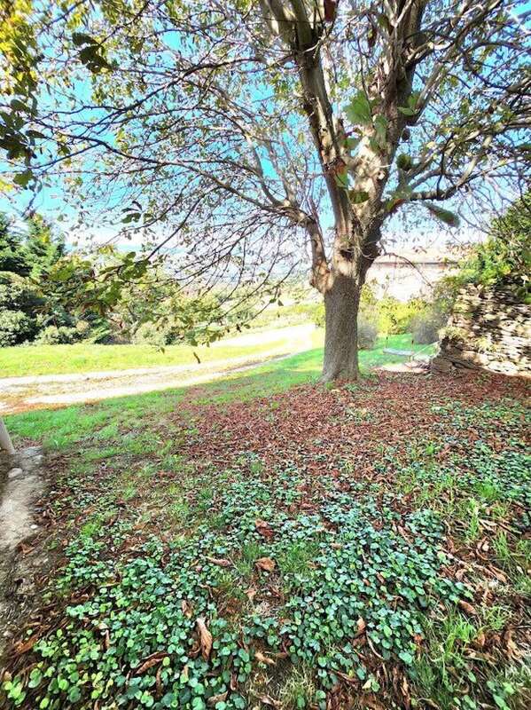 Photo 4 - Maison à CHATEAUNEUF