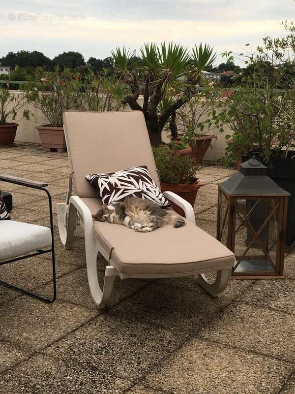 Appartement à MONT-DE-MARSAN