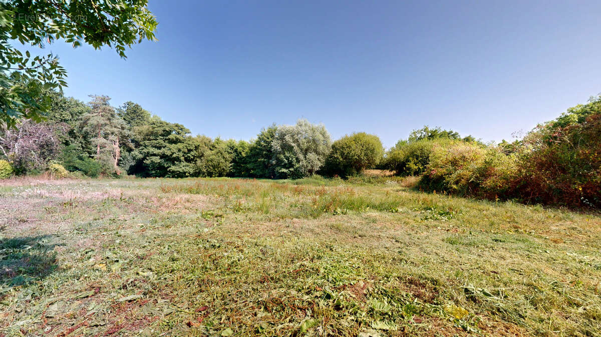 Longère de 146m2 avec dépendances sur 2 hectares. - photo 4
