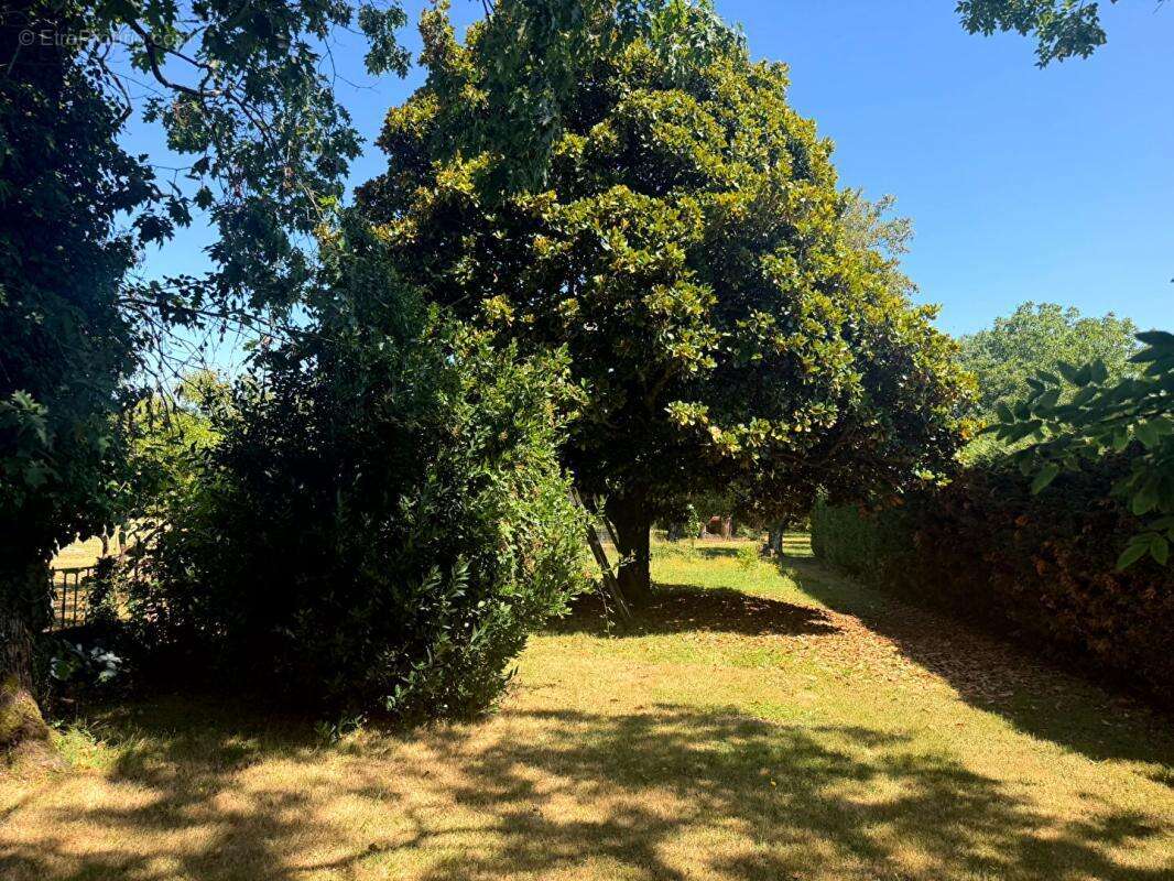 Maison ozillac -159m2 - 4 chambres - grand jardin - prix 246750 hai - photo 12