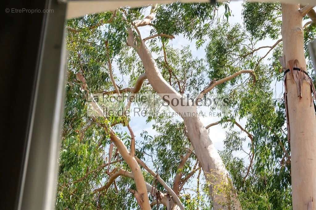 Maison à LA ROCHELLE