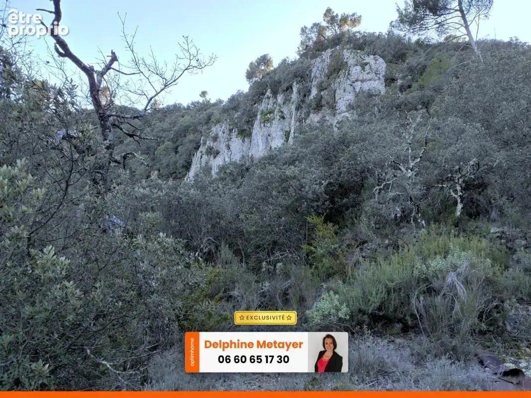 Terrain boisé d'environ 2 hectares en pleine nature, Varages / Verdon - photo 2