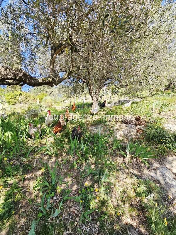 Terrain à ASPREMONT