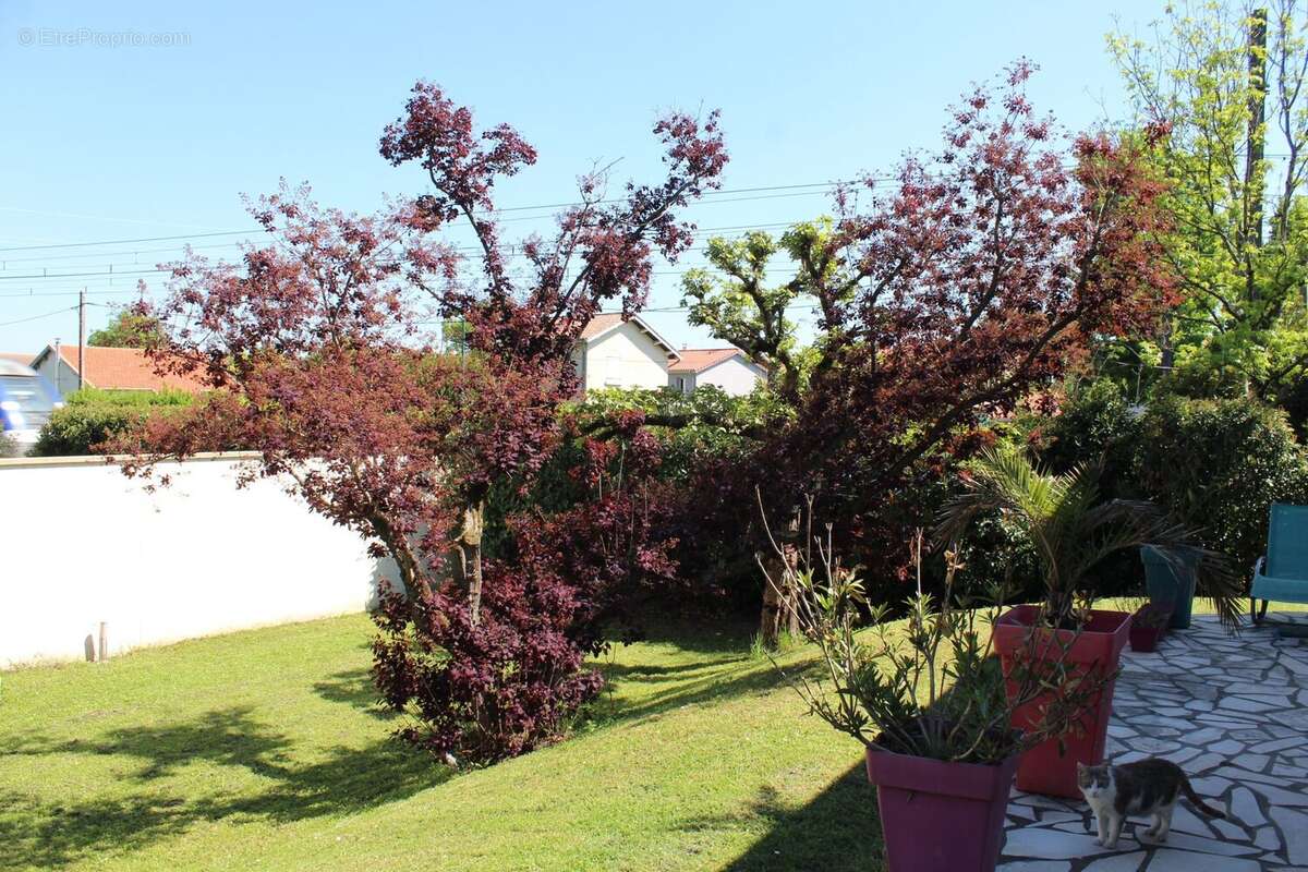 Maison à MIRIBEL