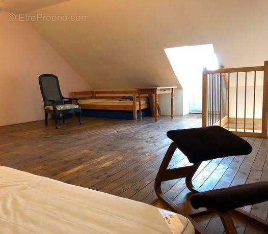 Commerce à THOUARE-SUR-LOIRE