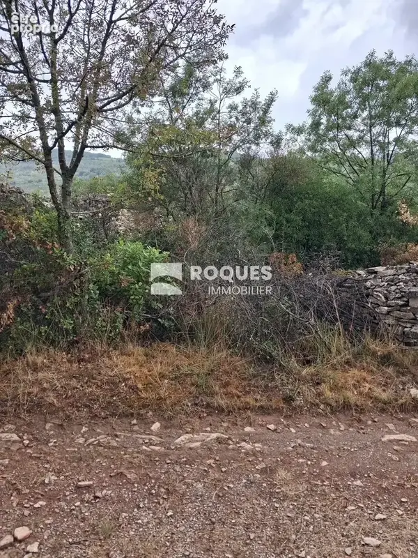 À Bédarieux, terrain à bâtir de 9220m2 en vente - photo 6
