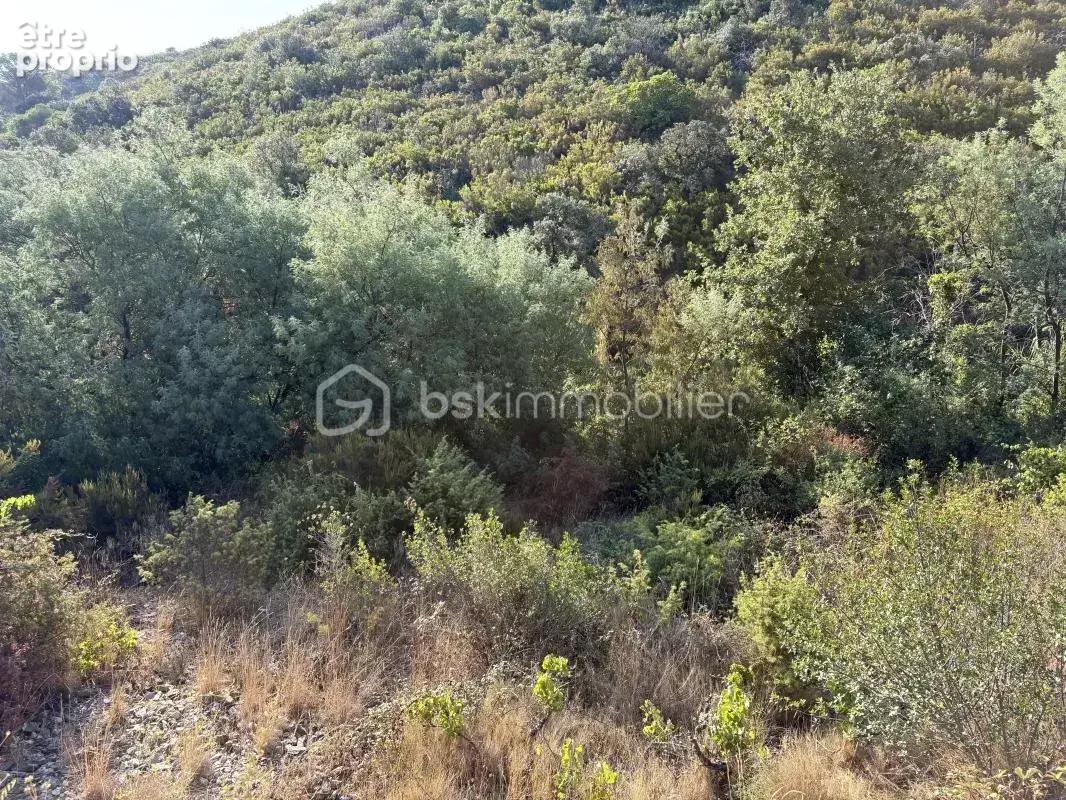 Lot de 5 terrains agricoles - photo 5