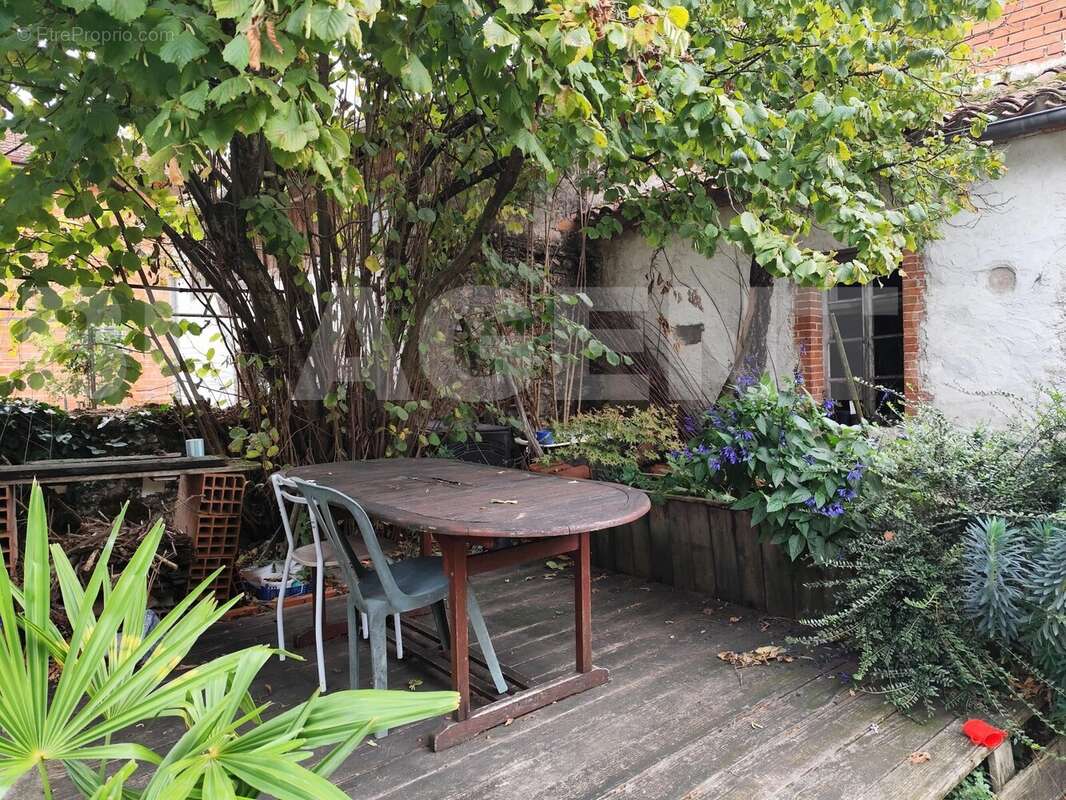 IMG_20251024_121833 - Appartement à DAMIATTE