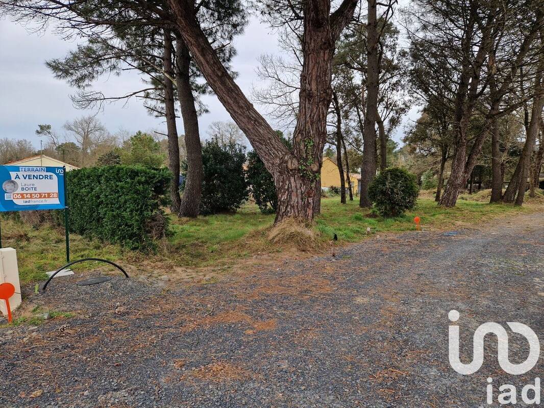 Photo 1 - Terrain à SAINT-HILAIRE-DE-RIEZ