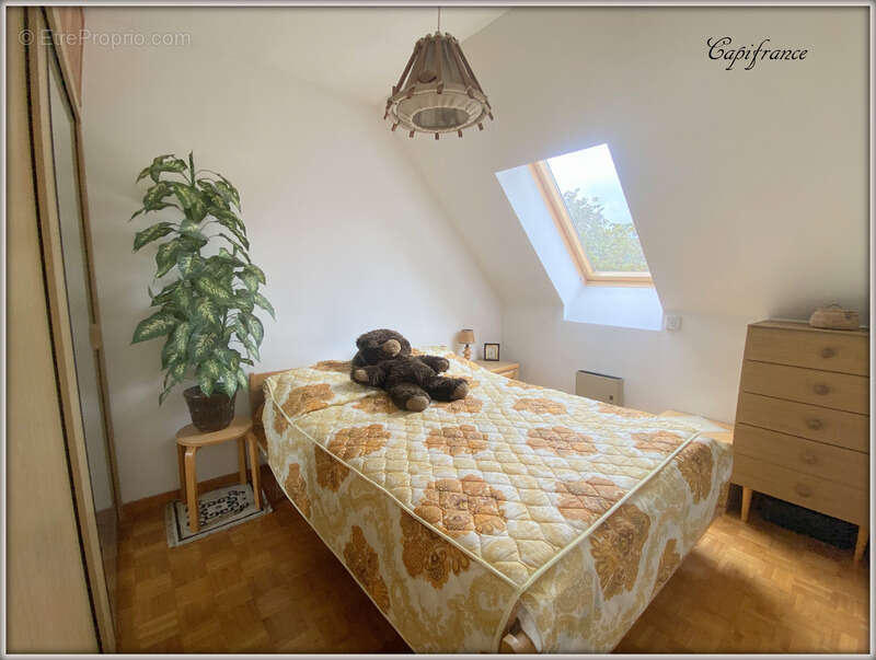 Maison à LE BLANC-MESNIL