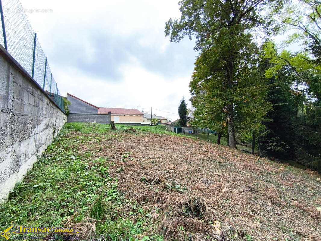 Terrain à THIERS