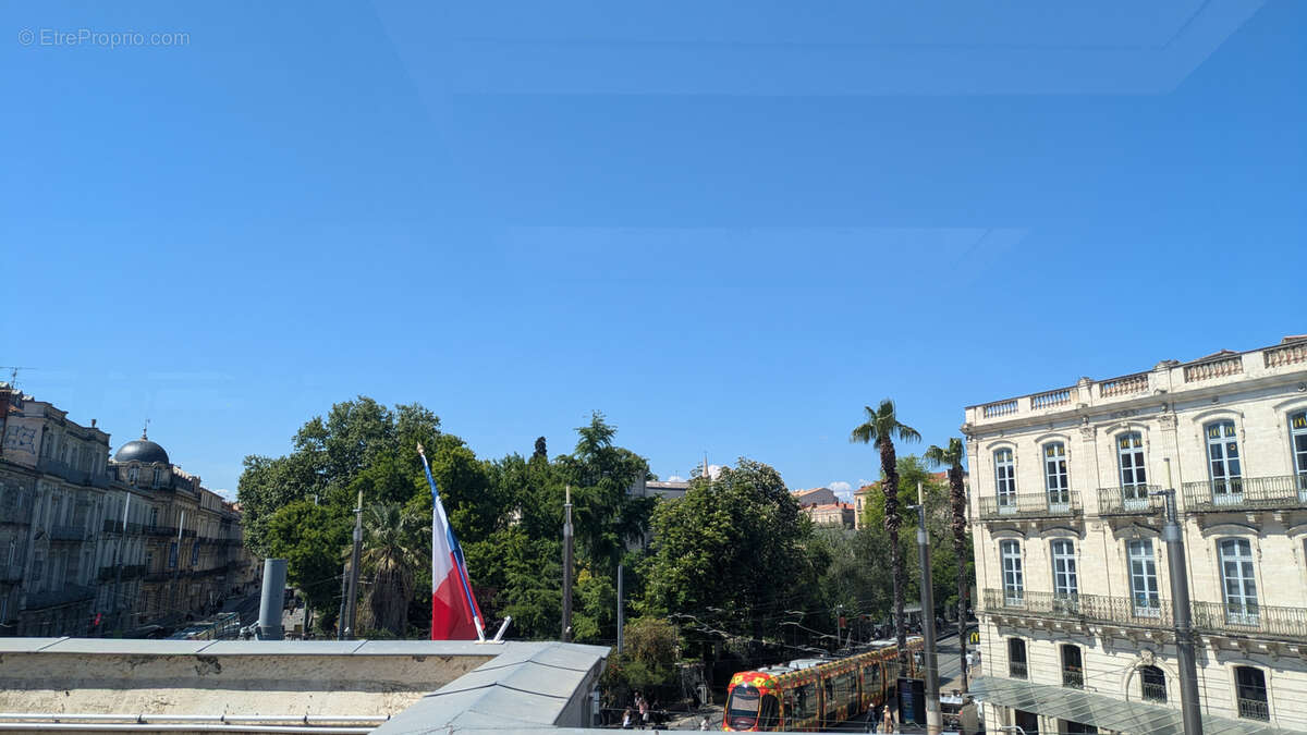 Commerce à MONTPELLIER