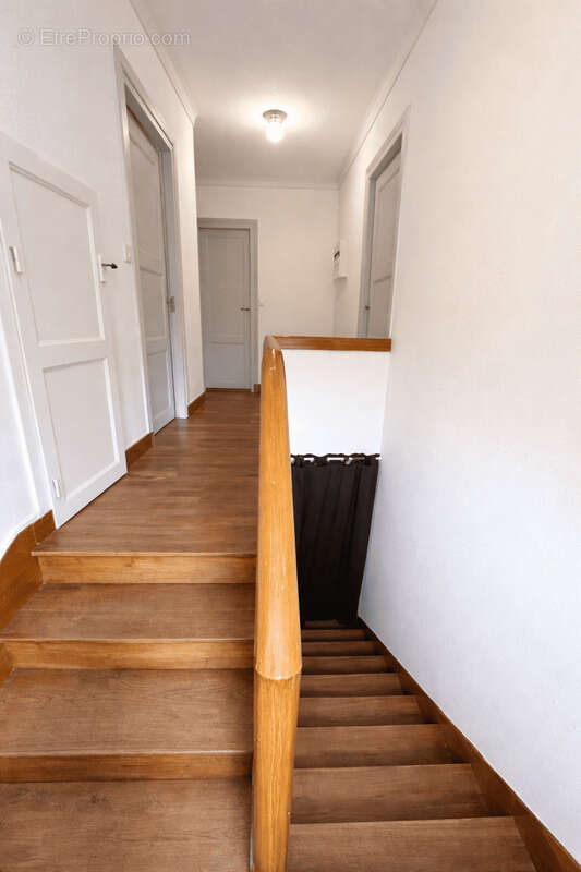 Maison à VIERZON