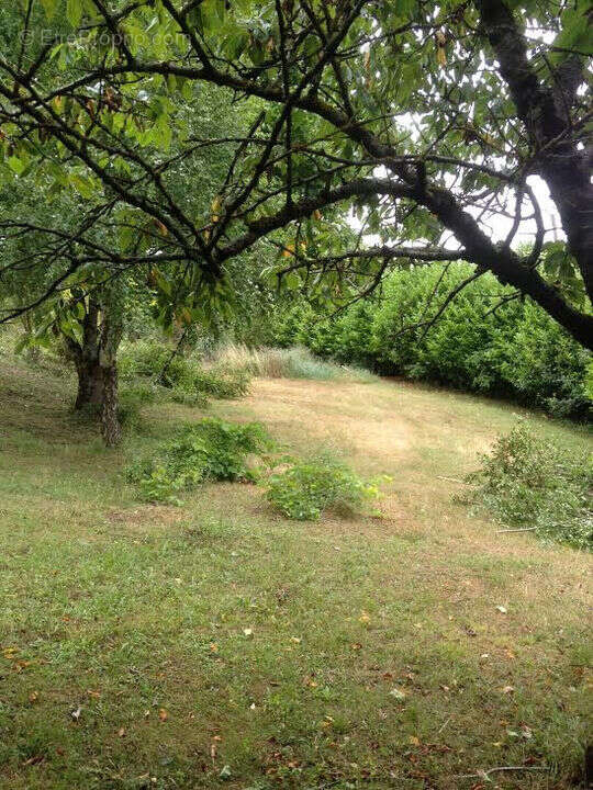 Terrain à MONTASTRUC-LA-CONSEILLERE