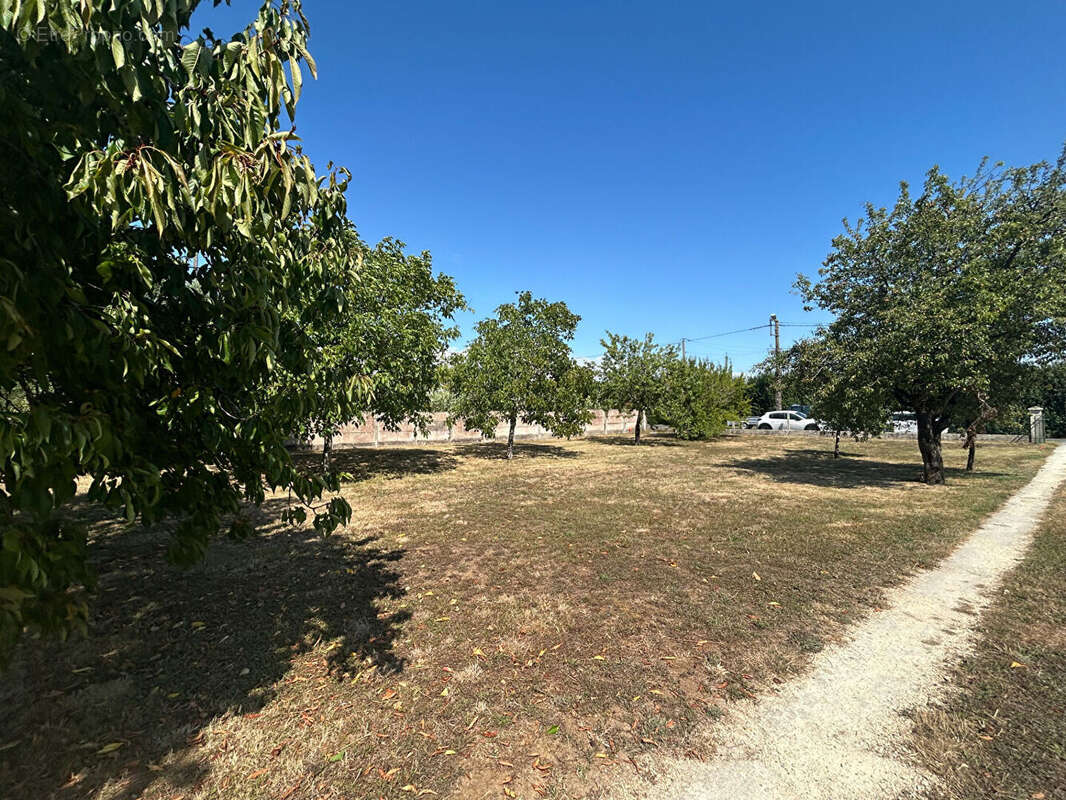 Terrain à SAINT-AGNANT