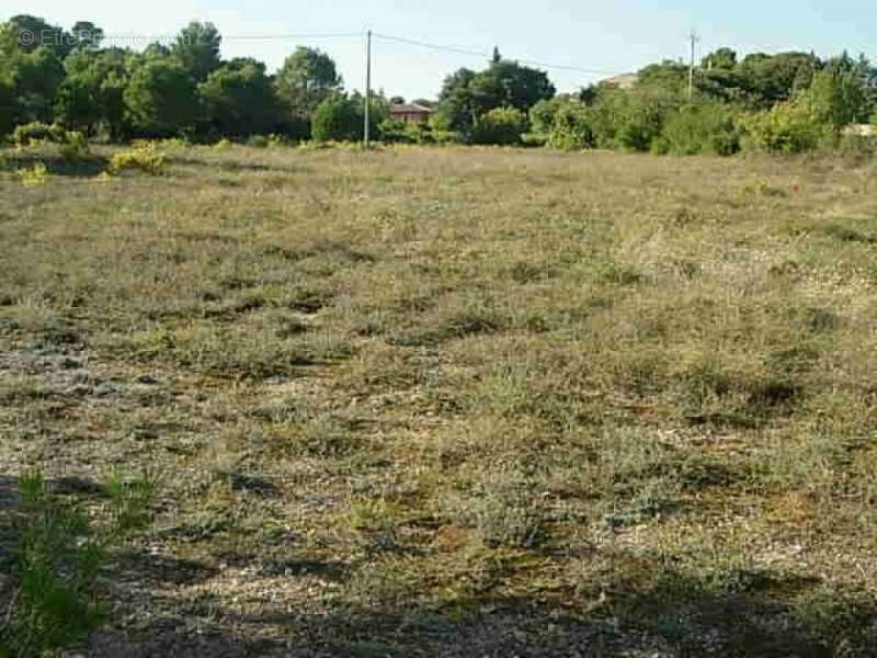 Terrain à CLERMONT-L&#039;HERAULT