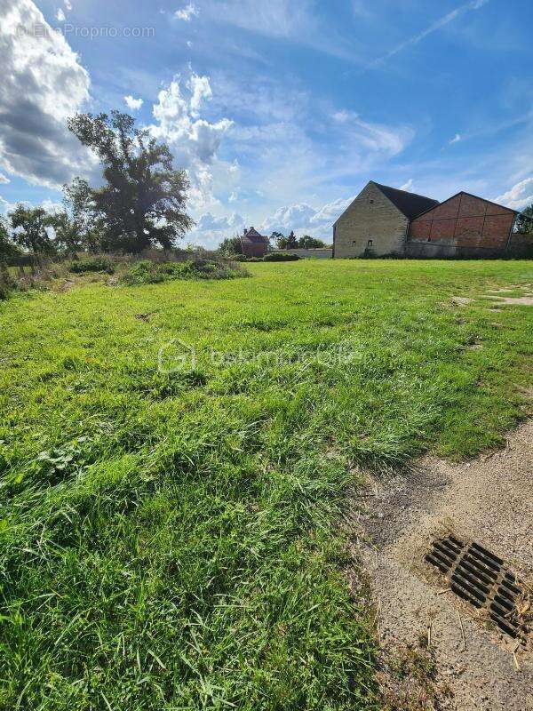 Terrain 1268 m² à Butteaux  - photo 2