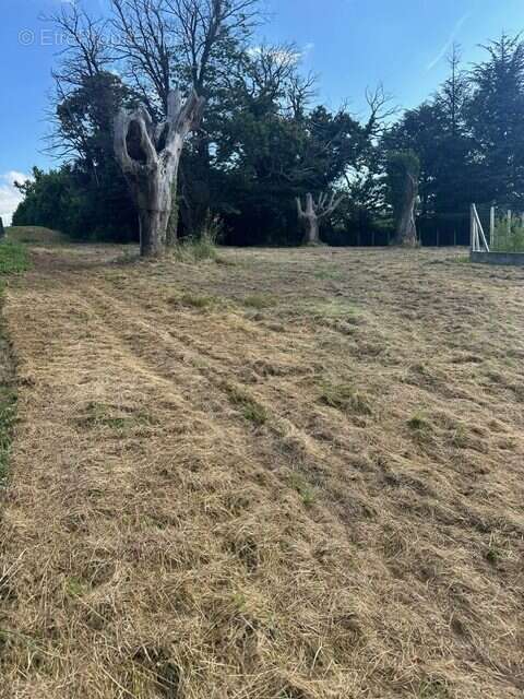 Terrain à PAJAY