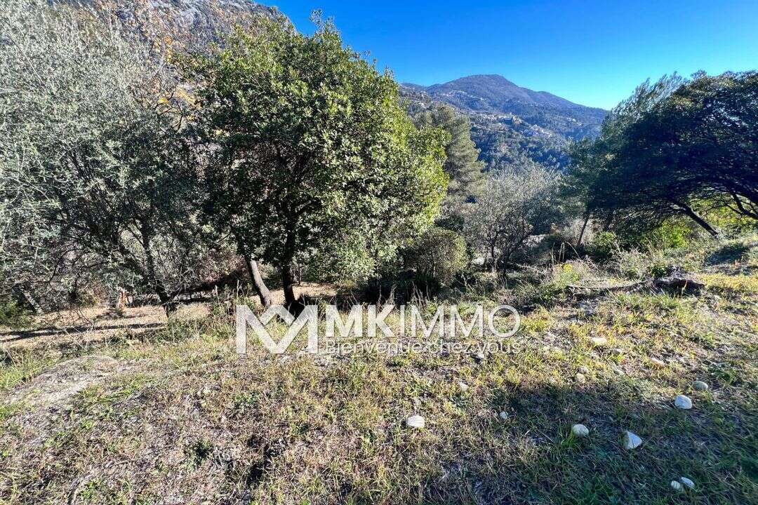 Terrain à CASTAGNIERS