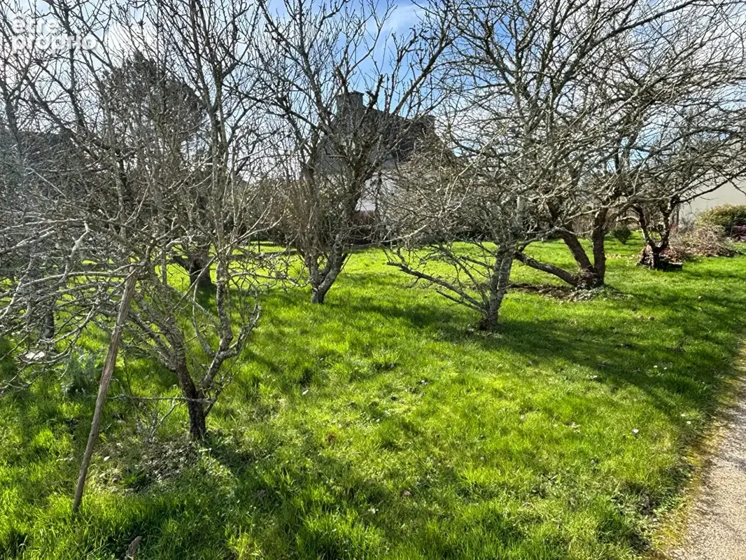 Maison familiale - photo 2
