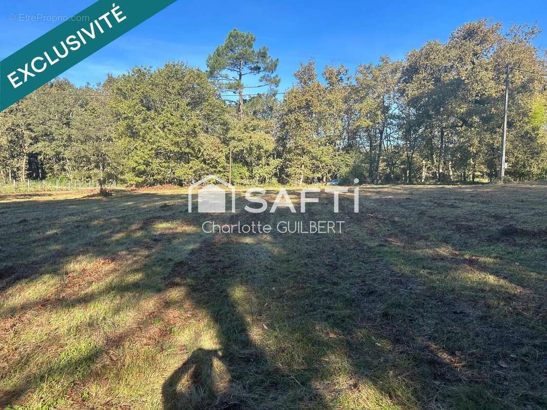Photo 2 - Terrain à POMPOGNE
