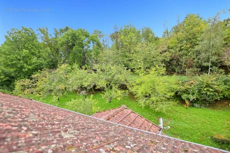 Ensemble de maisons avec 3000 m2 de terrain à Sernin du Plain - photo 8