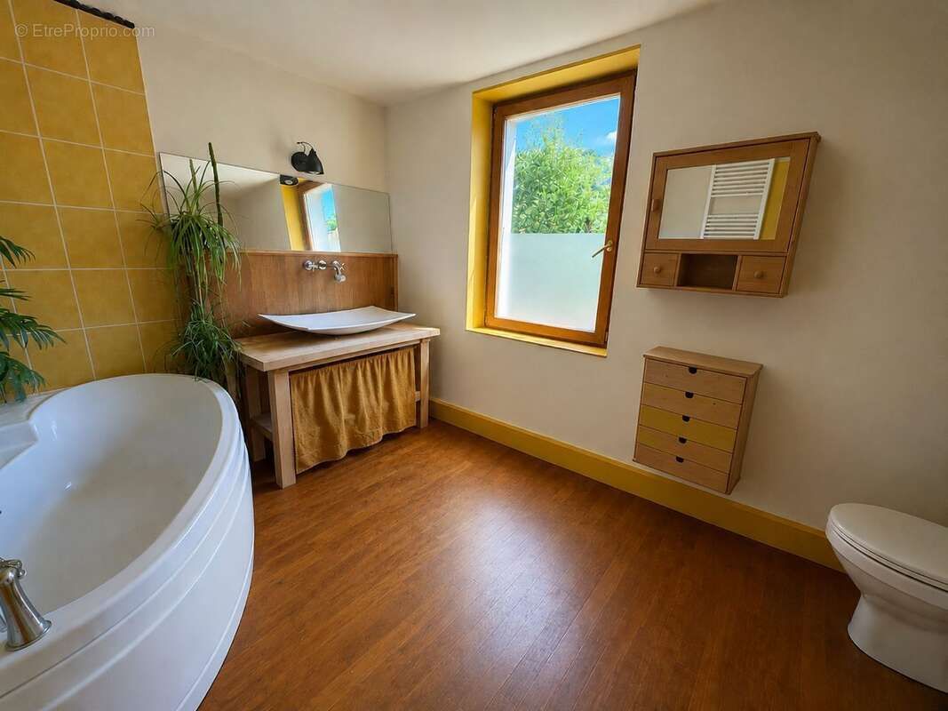 Maison 170 m² à Hauterives  - photo 9