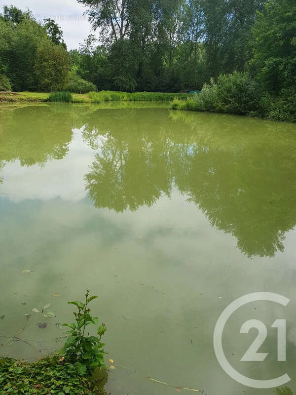 Terrain à PERONNE