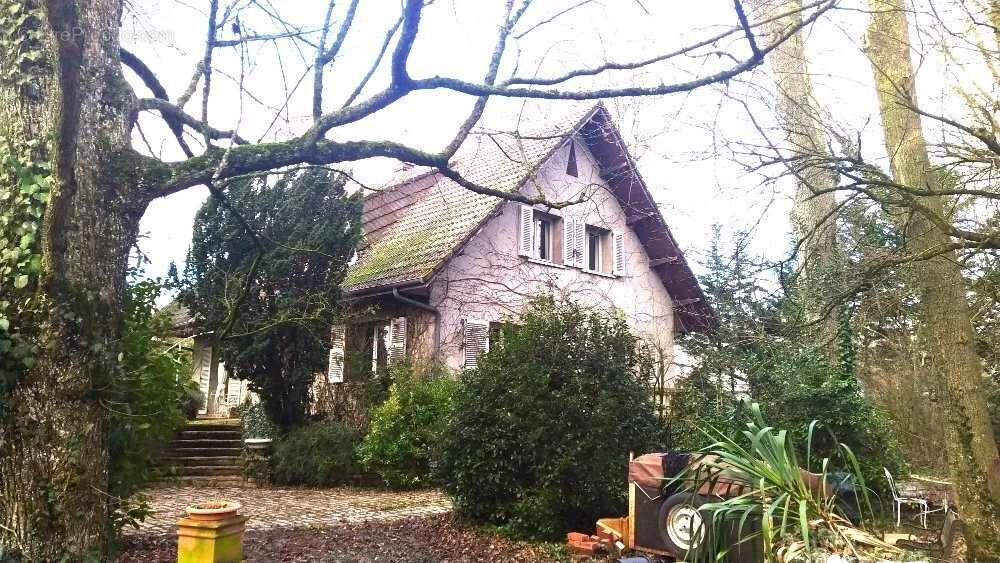 Maison à CHEVIGNY-SAINT-SAUVEUR