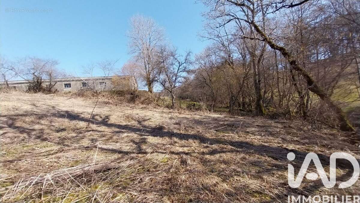 Maison 85 m² à Picherande  - photo 5