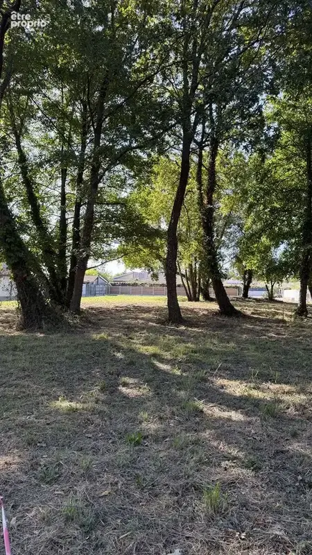 Terrain 881 m² à vendre à Audenge (33980) - photo 2