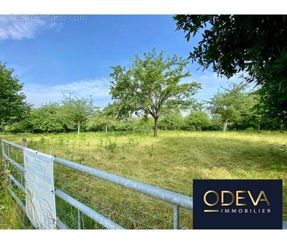 Terrain à CONDE-SUR-VIRE