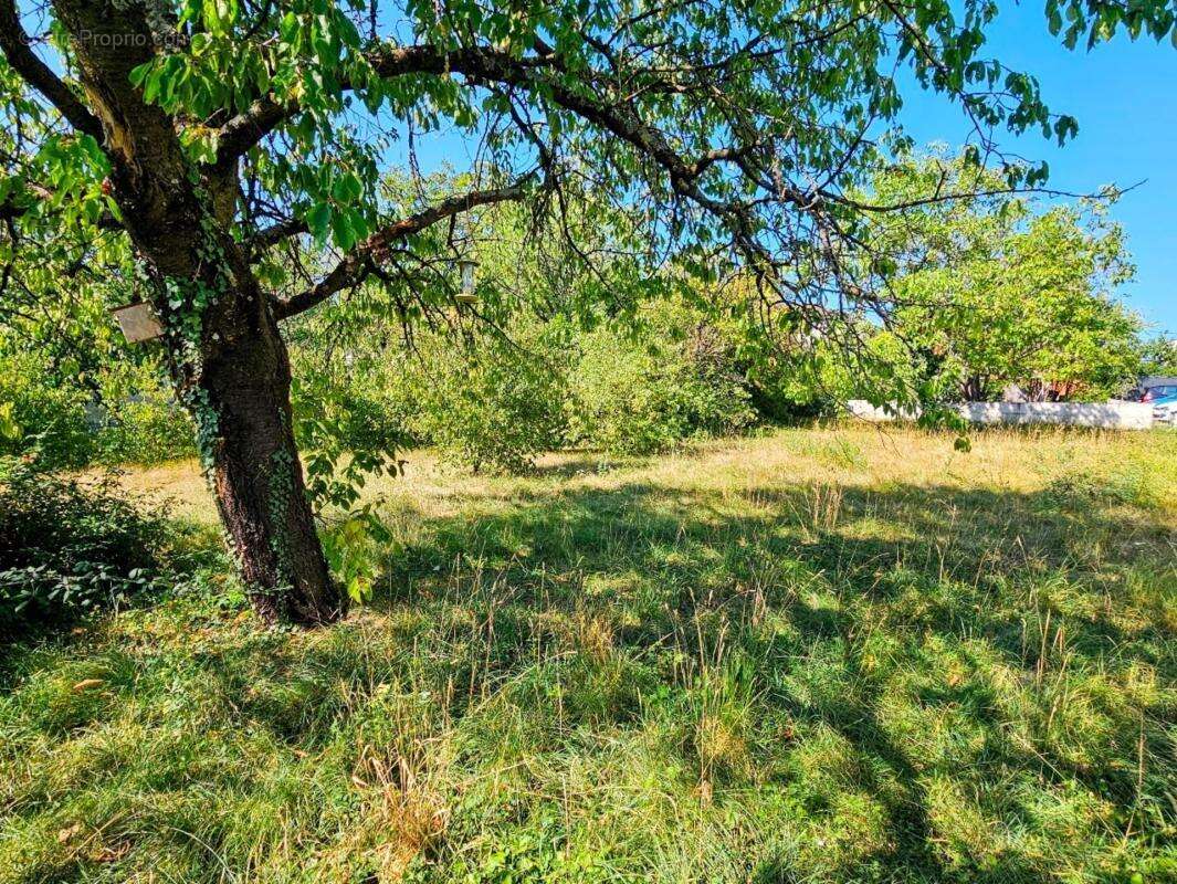 Villa semi-plain-pied - 5 pièces – Cournon-d’Auvergne - photo 4