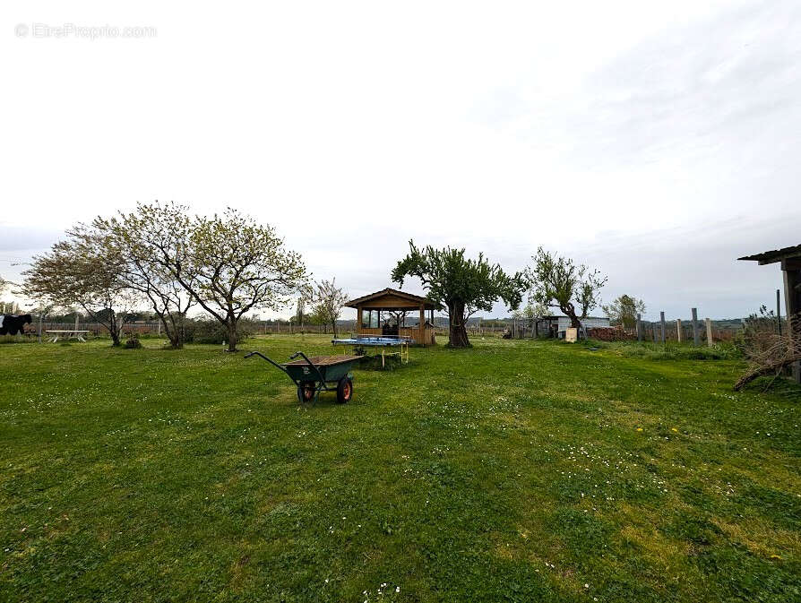 Maison à SAINT-EMILION