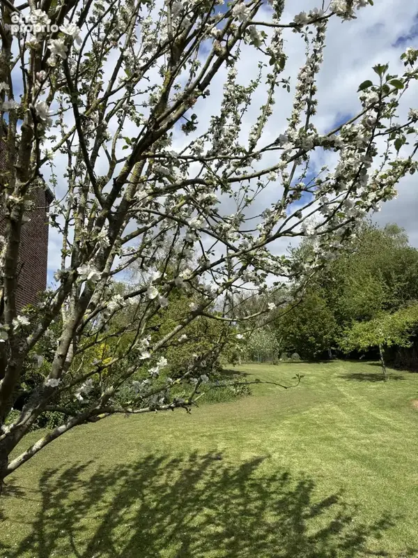 Maison de campagne ! - photo 16