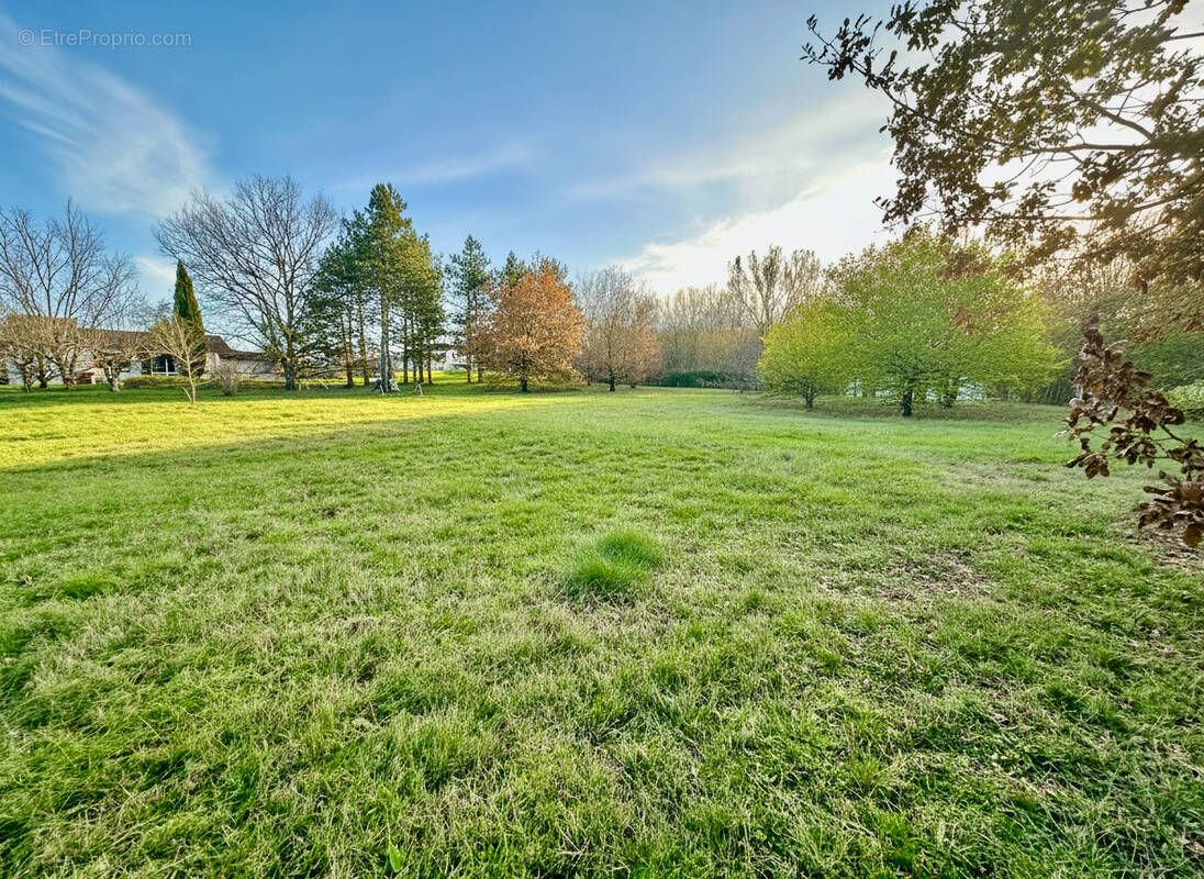 Terrain à MONTBERON