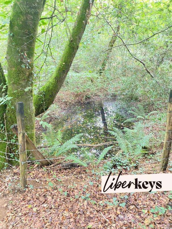 Terrain à SAINTE-COLOMBE